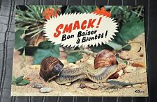 Antique Humorous Animals Postcard