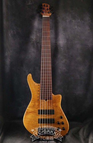 Roscoe skb6 custom fretless - custom,