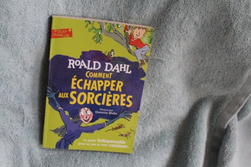 Comment echapper aux sorcieres - comment,