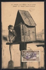 CPA Senegal, le Boubou chez