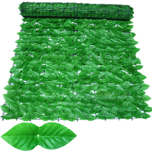 500cm ivy intimité - ivy,