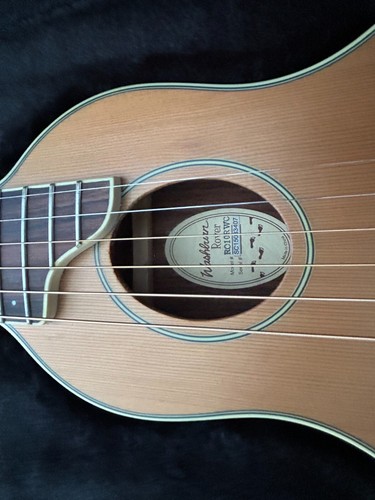 Washburn rover ro10rwc - rover,