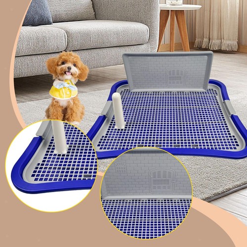 Toilettes pour chien avec - toilettes,