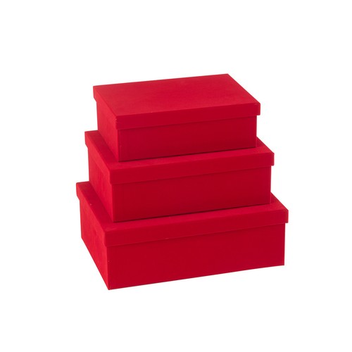 Lot boîtes de - 3, rangement