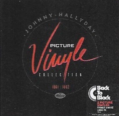 Johnny hallyday double - johnny,