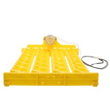 Boite Oeufs Plastique Couveuse