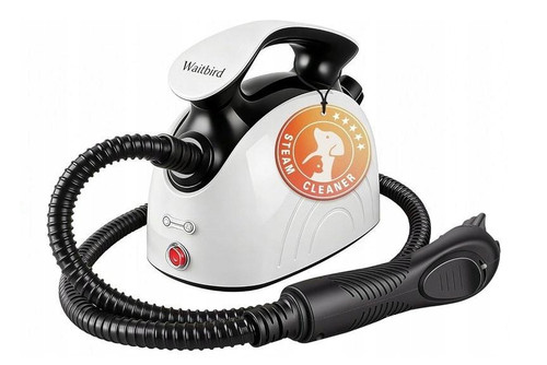 Aspirateur-vapeur