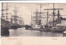 🦬Carte Postale / Postcard /