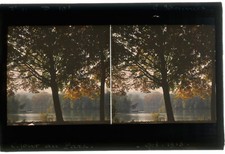 AUTOCHROME Stéréo (10x15) G. MEUNIER. France, Lyon ? contre-jour au parc. 1913