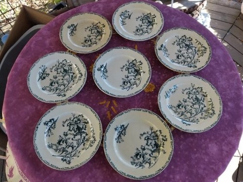 Assiettes plates jules - plates,