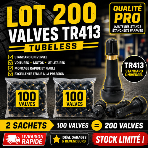 Lot 200 valves pneus tr413 - valves,
