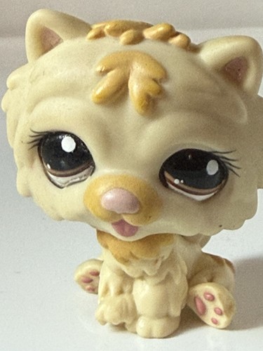Petshop chien chow - chien,