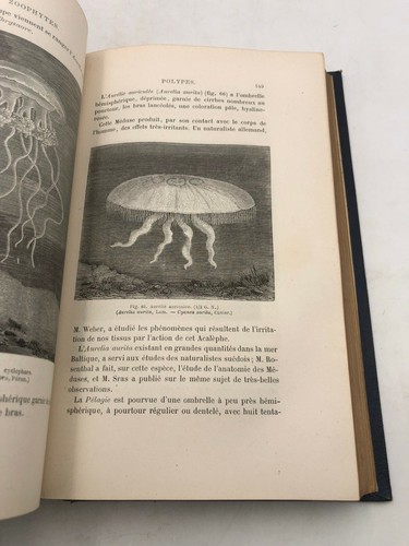 Figuier vie et les moeurs - et,