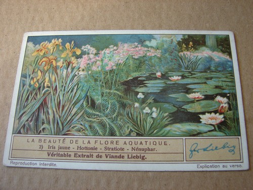 Chromos liebig beaute de - chromos, la