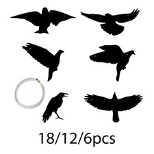 Corbeau noir suspendu