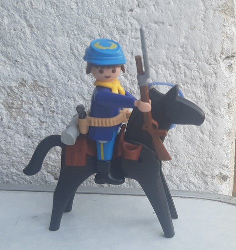 Playmobil nordiste cheval - playmobil,