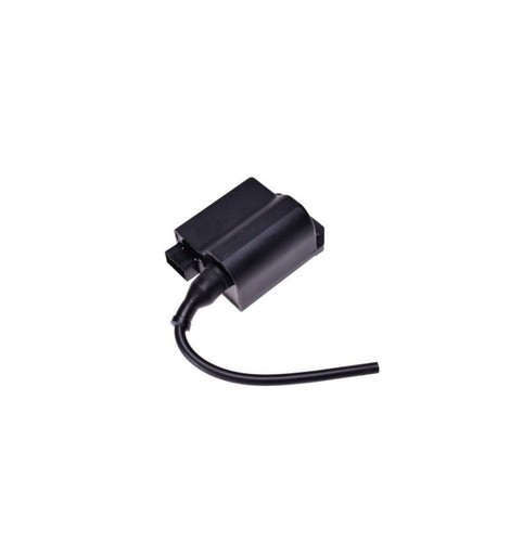 Bobine avec module suzuki - bobine,