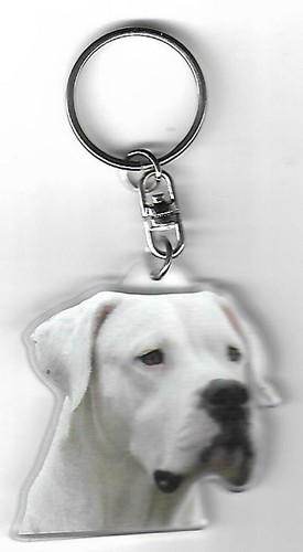 Dogue argentin porte clés - argentin,