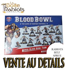 Blood Bowl Team Norse Raider