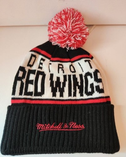 Beanie detroit new - detroit,