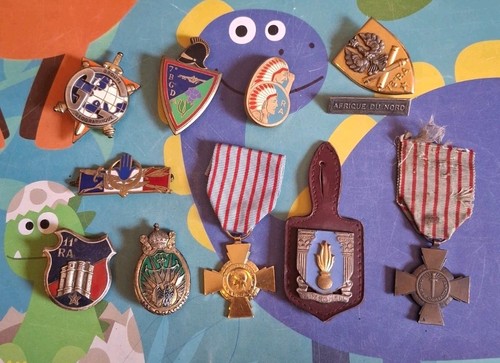 Lot insignes militaire - 11,