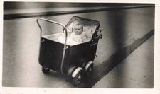 OLD PHOTOGRAPH 1947 TODDLER IN STROLLER