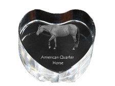 Américain Quarter Horse -