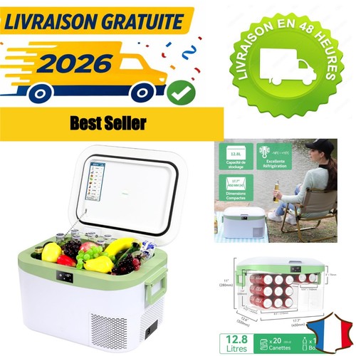 Mini réfrigérateur portable