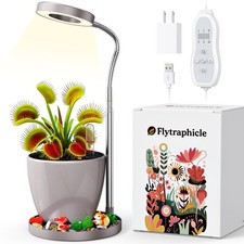 Flytraphicle Venus Fly Trap