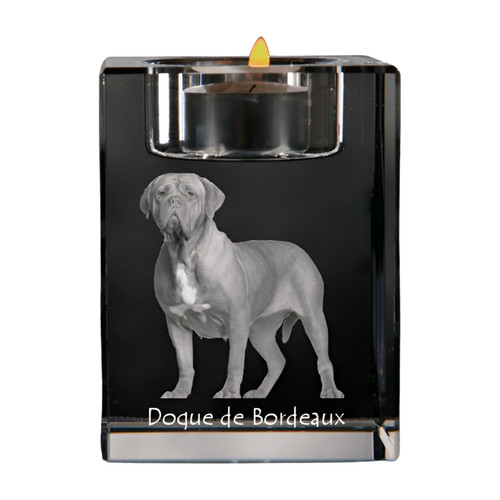 Dogue bordeaux porte bougie - dogue,