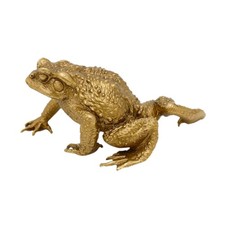 Crapaud, Animal De Compagnie