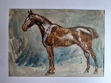 watercolor horse portrait antique 19th 20th century painting