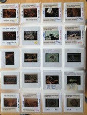 THE DARK CRYSTAL jim henson