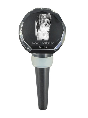 Biewer terrier - biewer,