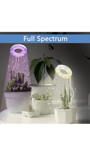 Lampe croissance plante - croissance,