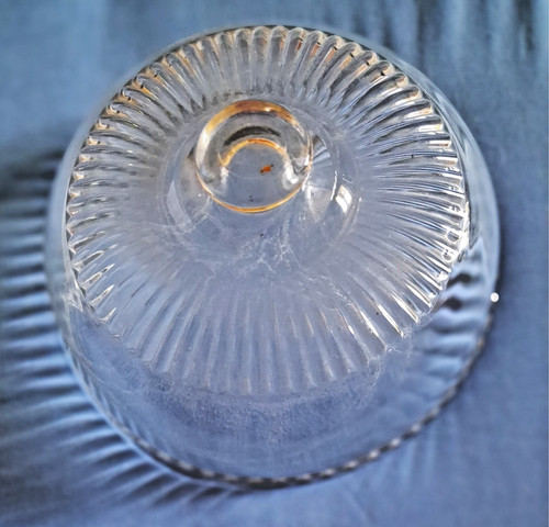 Cloche fromage fruits - fromage,