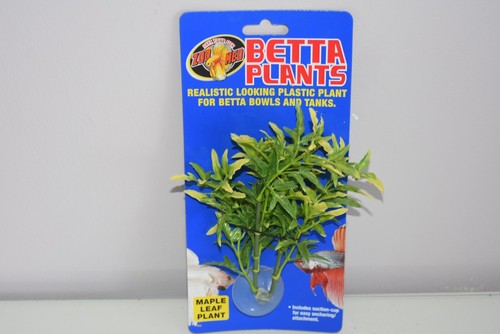 Aquarium betta plante petit - plante,