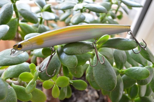 Take wobbler popper jerkbait - take,