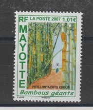 TIMBRE MAYOTTE N° 197 Neuf Bambous géants