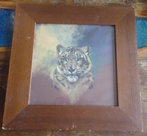 Joli encadrement leopard des - ,