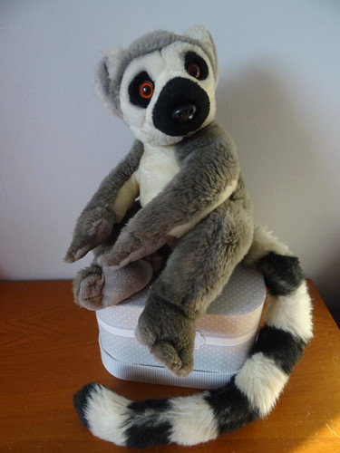 Lemurien peluche - lemurien,