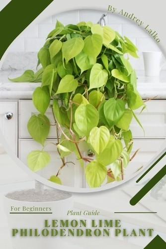 Andrey lalko lemon - lalko, lime