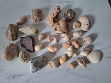 Lot coquillages pierres pour décoration Mer Océan Plage