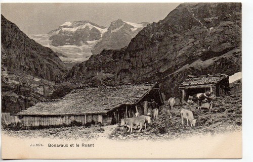 Suisse switzerland chalets - suisse,