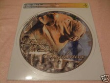 1 autocollant - motif chien