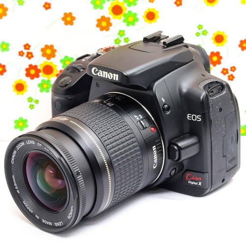 Appareil photo reflex
