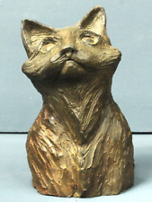 BUSTE CHAT MAINE COON EN TERRE