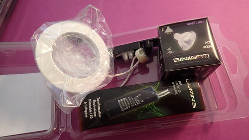 Spot 12v blanc - blanc, luminis