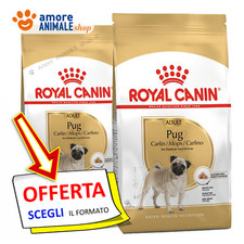 Royal Canin Chien → Adulte