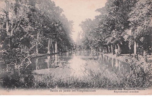 Ile maurice bassin - maurice, jardin
